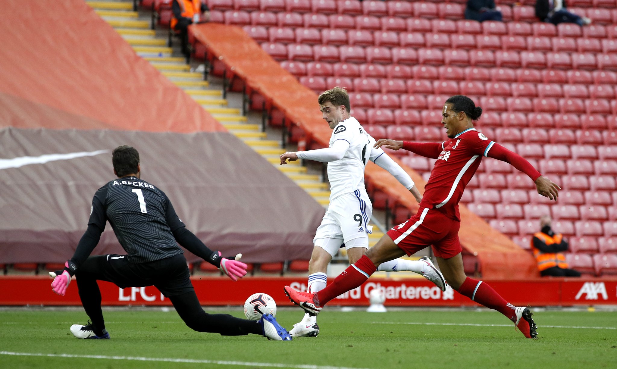 我们看到观 我们看到观